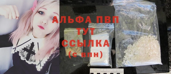 индика Баксан