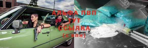 индика Баксан