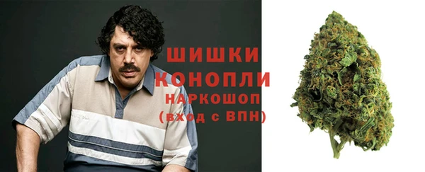 индика Баксан