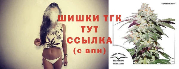 индика Баксан