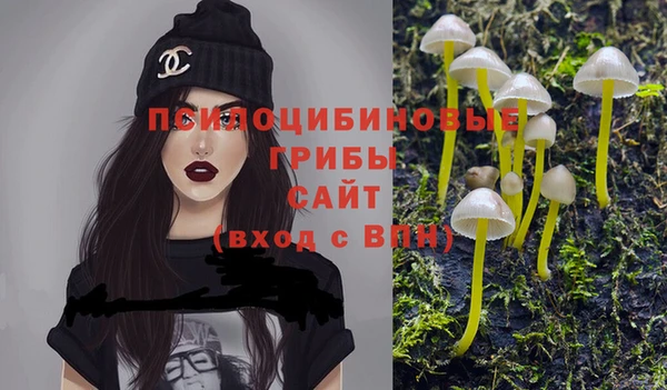 индика Баксан