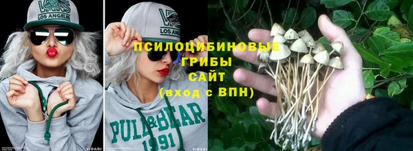 дурь Касимов