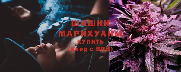 индика Баксан