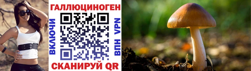 Галлюциногенные грибы мицелий  площадка официальный сайт  Борисоглебск 